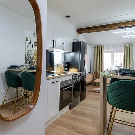 Apartment La Petite Rosee - Vienna Authentica Vienne (Isere)