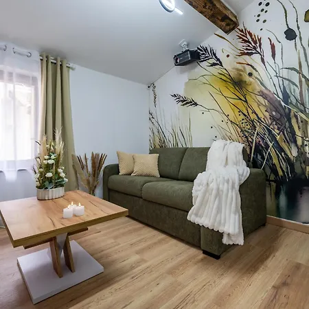 La Petite Rosee - Vienna Authentica Apartment Vienne (Isere)